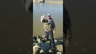 First trip to the Sandusky walleye run. 2022