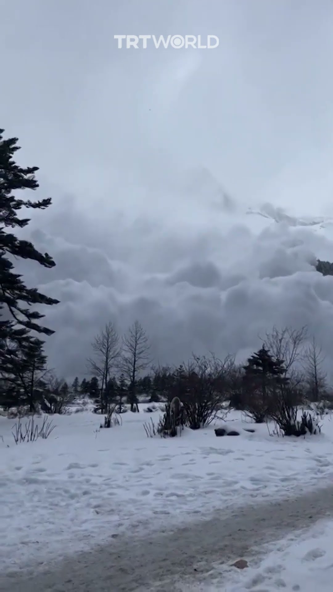 Tourists recording avalanche forced to flee as it crashes down mountain in China