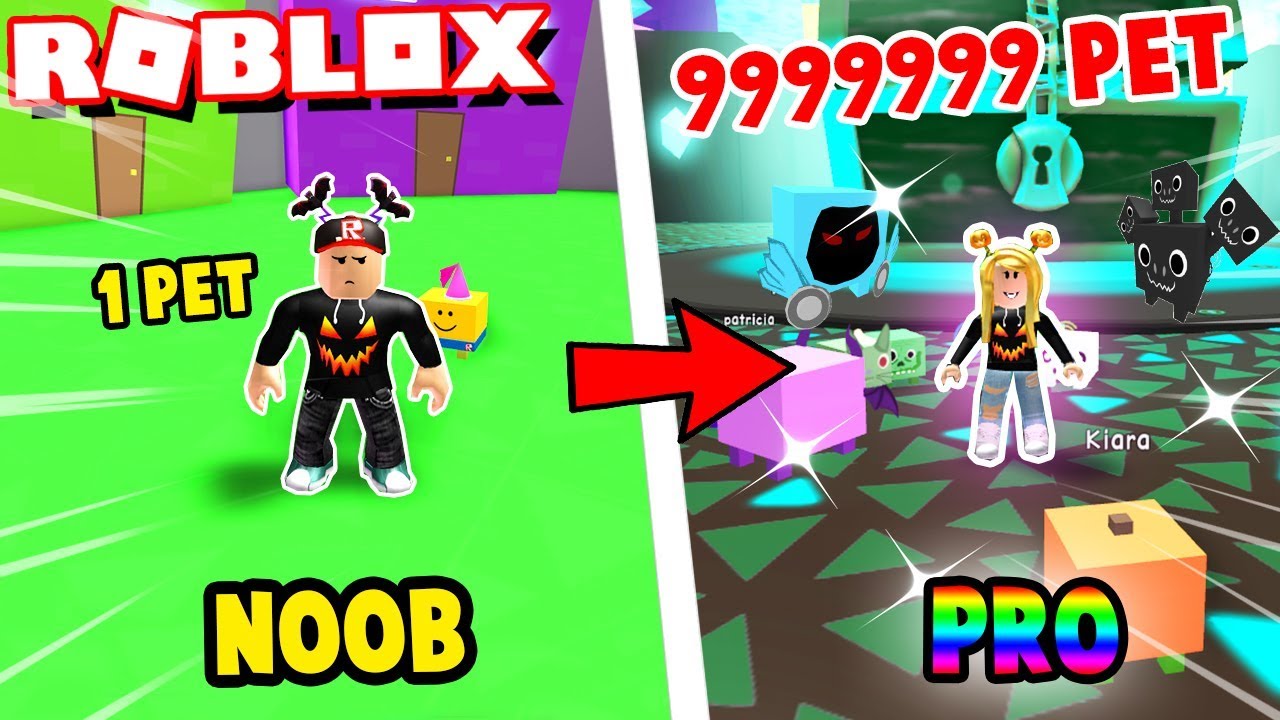 Roblox Pet Simulator Noob Vs Pro