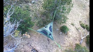 Levitat \u0026 Levi-Top