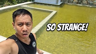 Our New Pool Turned Green | Vlog 1624