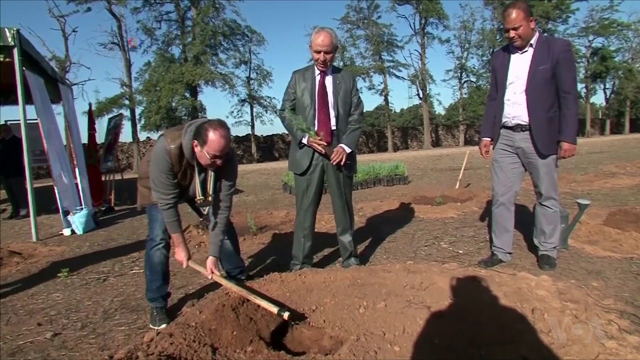 Morocco’s Government Partners with Civil Society Groups to Reforest the Land