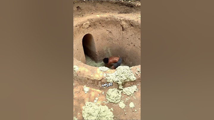 بناء ملجأ في الغابة 🤝😲!