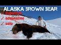 S22ep8 solo spring brown bear hunt in alaska