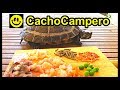 8 Alimentos que le encantarán a tu tortuga de agua y cómo dosificar la dieta o comida de tu tortuga