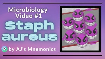 Microbiology #1 | Staph Aureus (USMLE Mnemonic)