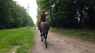 20180711 105321