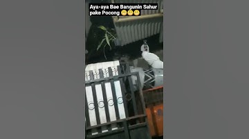 Bangunin Sahur pake Pocong #ojol #shorts #vlog #vlogojol #sahur #pocong #puasaramadhan #puasa #imsak