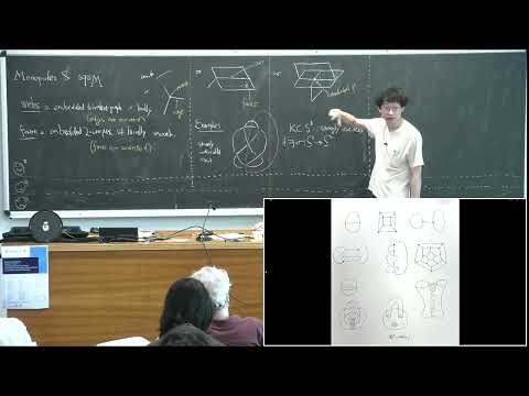 Monopole Floer homology for webs and foams