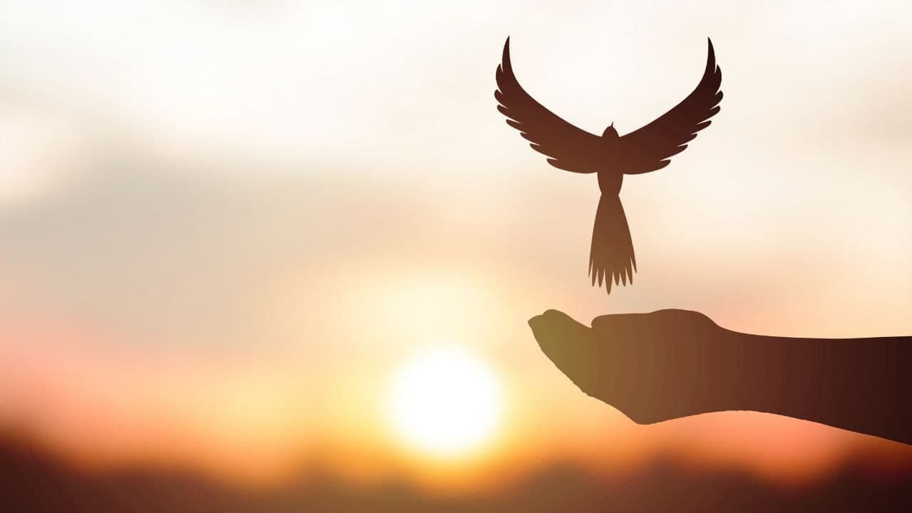 Свобода картинка для презентации