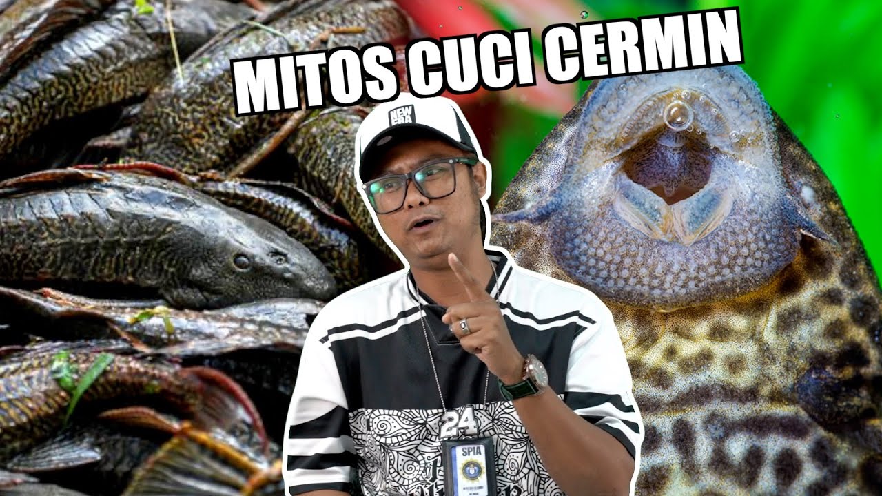 Kenapa Tangkap Ikan yang Cuci Sungai?