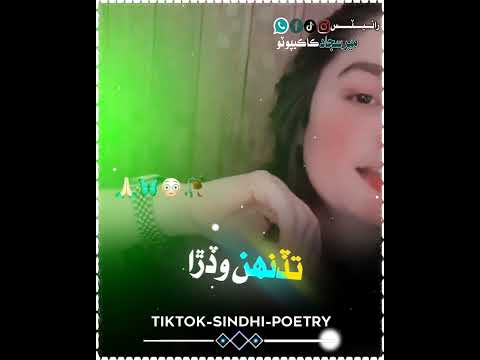 Tiktok Sindhi Shayari Alightmotion Whatsappstatus Sadstatus Poetry Alightmotion