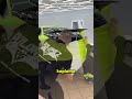Lamborghini’de Kusursuz Detay 🏎️