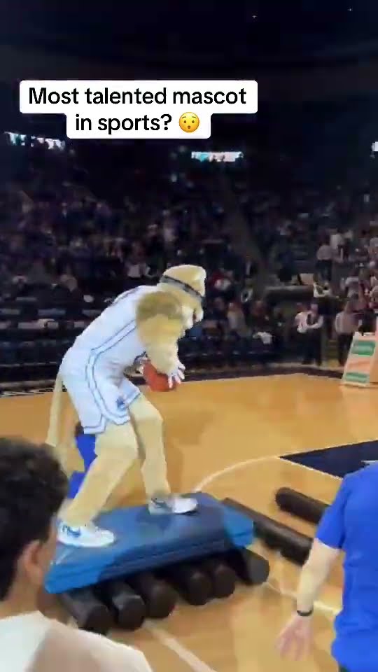 BYU’s Cosmo is elite ? (via cosmo_cougar/TT)