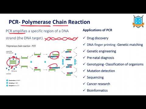 What is Polymerase Chain Reaction ? || Polymerase Chain Reaction అంటే ఏమిటి? || La Excellence
