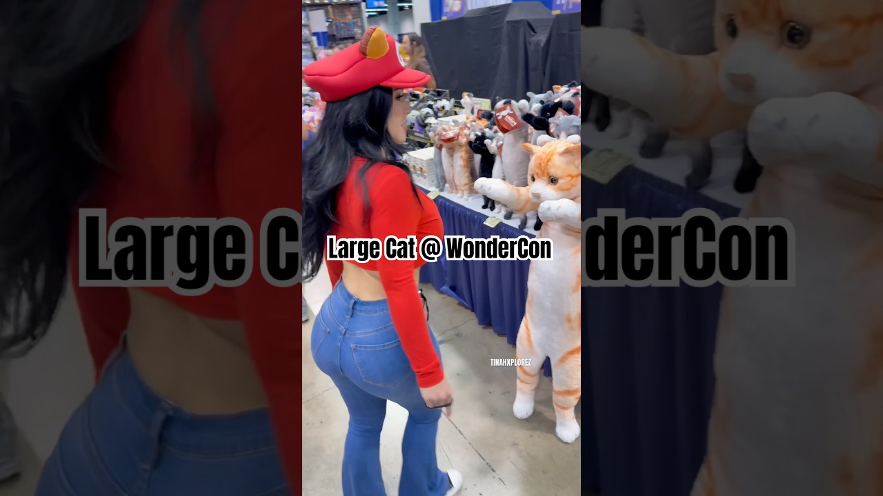 Big cats at WonderCon! #viralshort #foryou #wondercon #supermariogalaxy