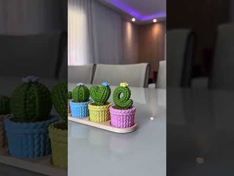 Love Cactus