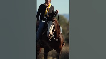 Come this Fall and see everything that has made Reining Masterclass a worldwide sensation.