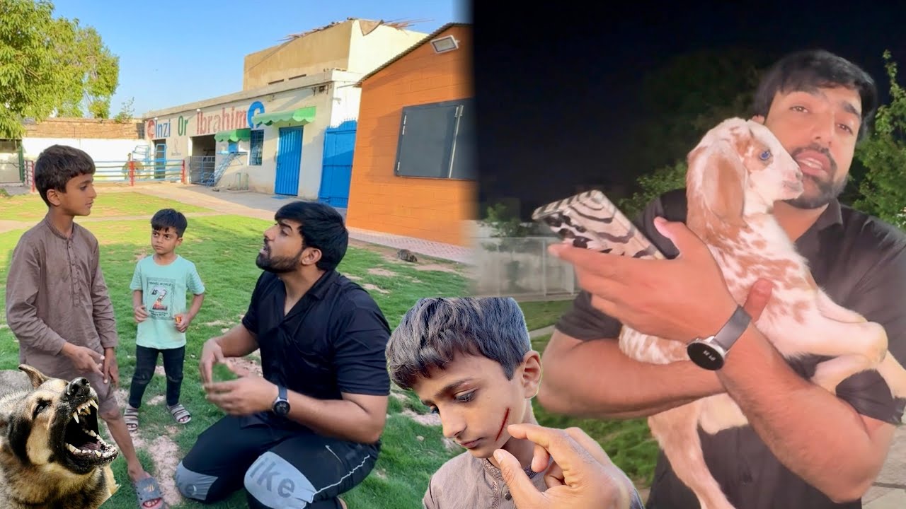 Faizan Ko Kuty Nay Kat Lia 🤫 Bakri Kay Bachy Ka Name Bhi Rkh Lia 😍