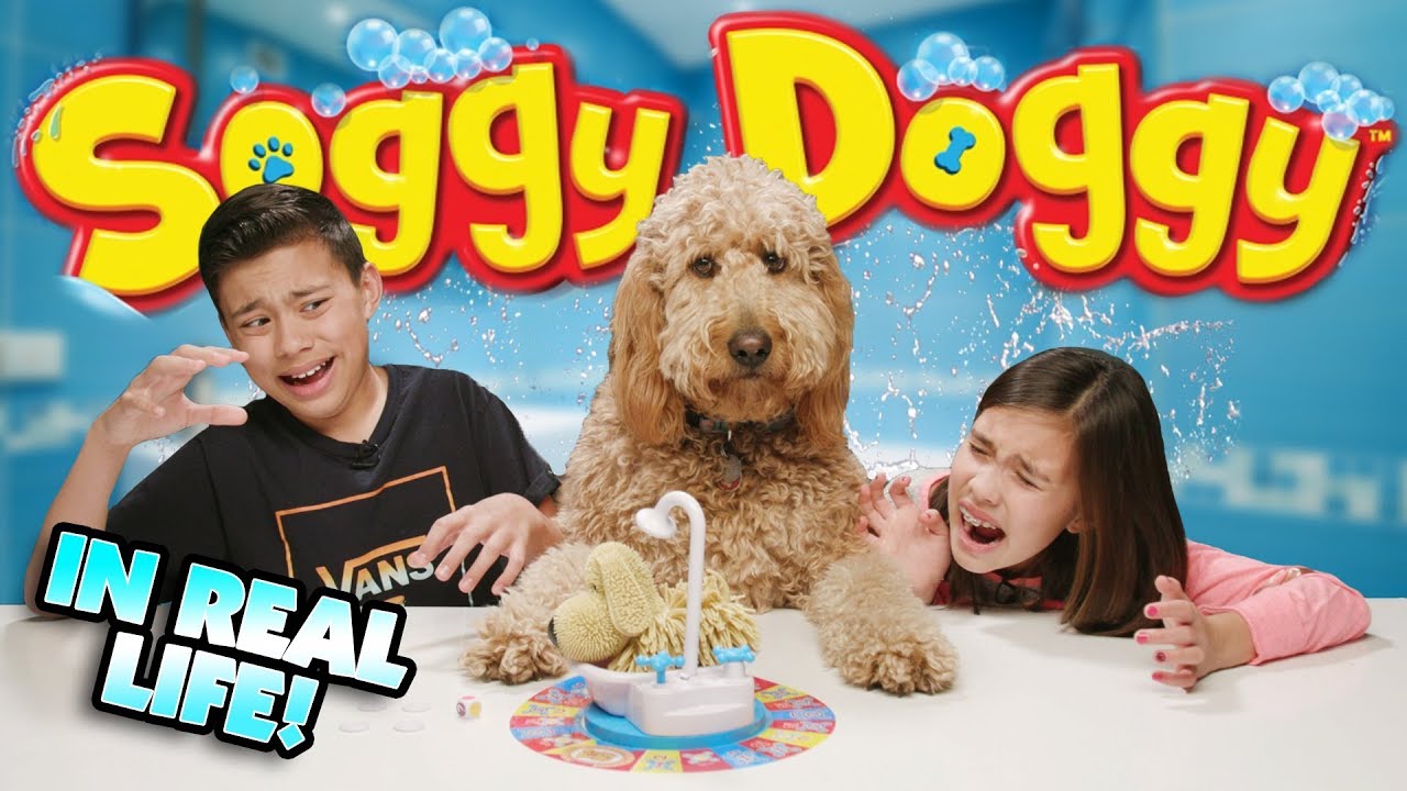 skits aadi SOGGY DOGGY GAME CHALLENGE IN REAL LIFE!!! Loser Gives Chloe a Bath!