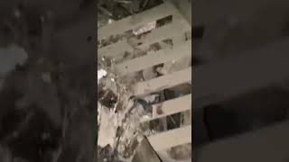 Місце загибелі родини від російської ракети. Залишився лише собака