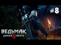 Ведьмак 3 Дикая Охота | СТРИМ #8