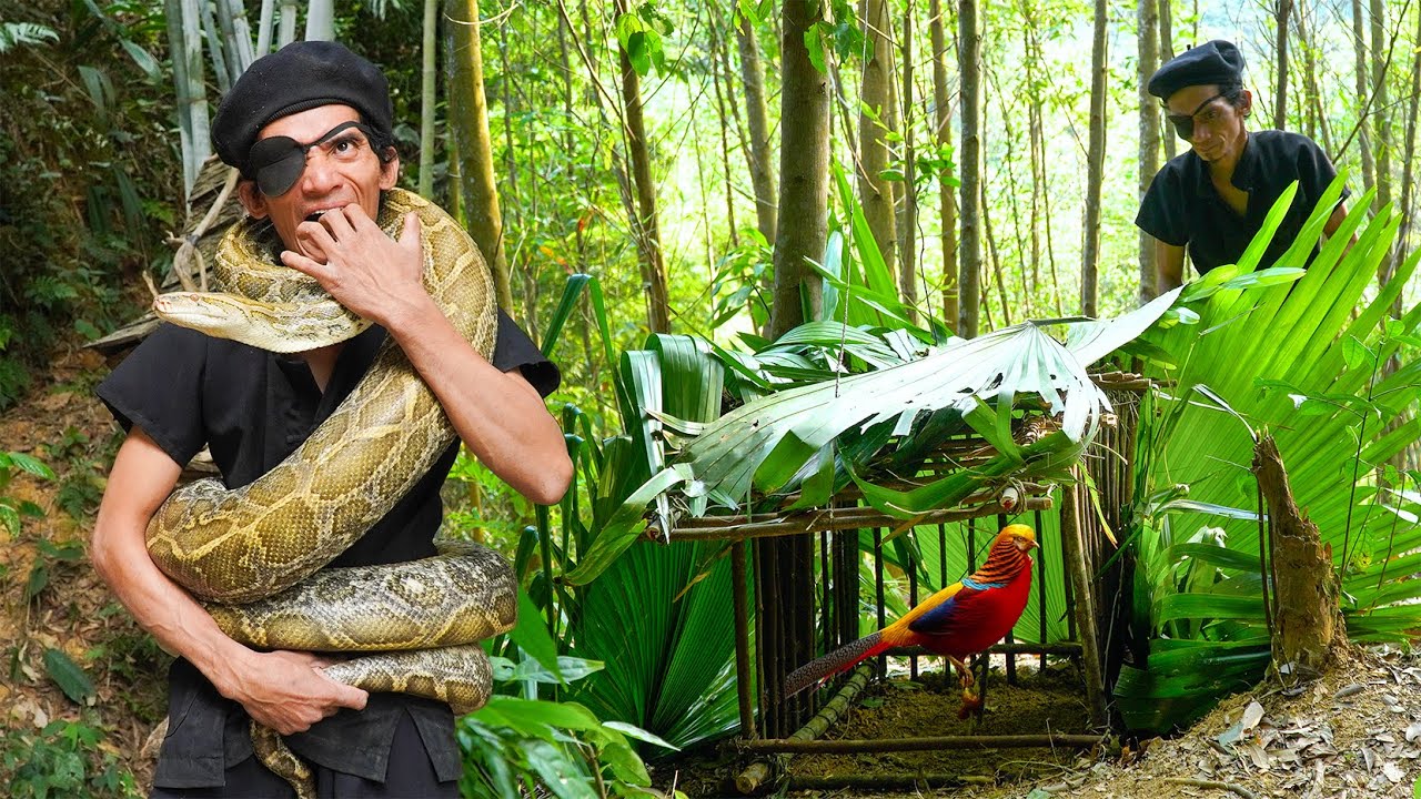Python Kills Persn Mutant Life - Hunt pheasants in the forest with a giant python | giant ...