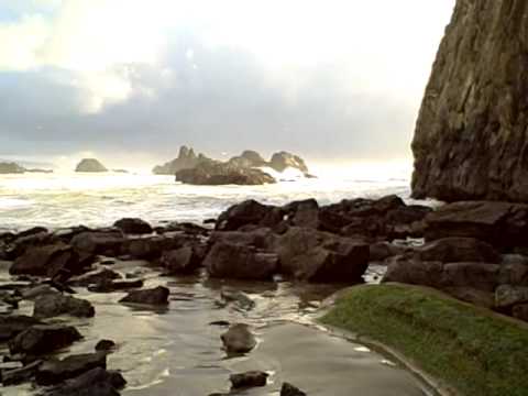 video phone beyonce mp3 SEAL ROCK, OREGON 8