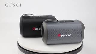 Beecaro speakers GF601