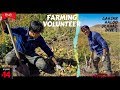 Kyrgyzstan Village | Free Volunteering at Farm, BUT...