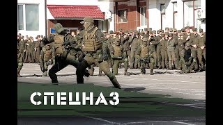 Який спецназ сильніший?