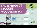 How to Show Product Stock in WooCommerce Cart in WordPress