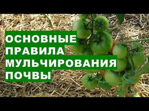 Видео: Твърде много калий – как да третираме високо калий в почвите