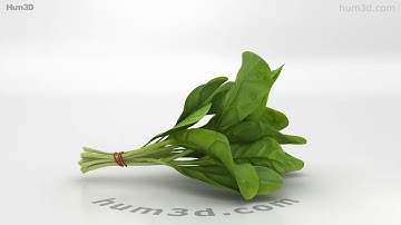 Spinach 3D model by 3DModels.org