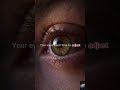 AeroVeil CabinLightsDim Teaser v1
