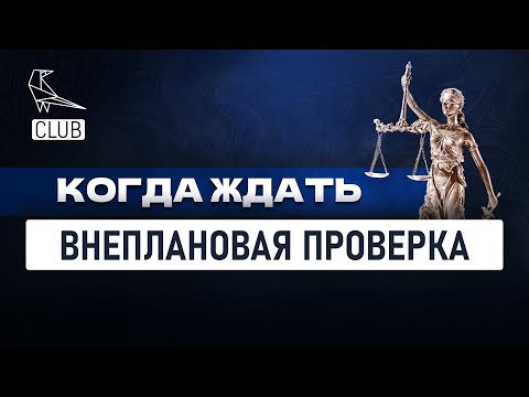 Когда к вам постучаться органы государственного контроля? Особенности внеплановой проверки бизнеса