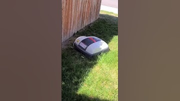 #lawncare Yes they exist, year #2 with mine and loving it! #miimo #lawnmower #la