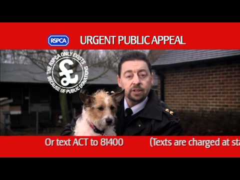 RSPCA Advert - Biggest Animal Rescue TV ad  - YouTube
