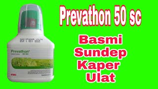 PREVATHON 50 SC | Insektisida Pembasmi Sundep dan Kaper Serta Hama Lainnya