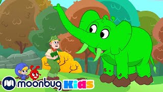 @MorphleenEspanol  Avistaje de Animales con Orphle | Caricaturas | Moonbug Kids en Español