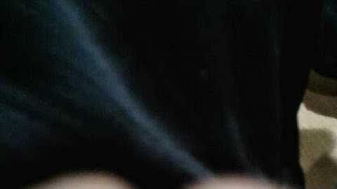 Bae Driving Dashhound Gta V,😂😂😂😂😂😂😂