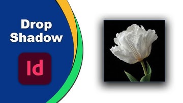 How to add drop shadow to image in adobe InDesign