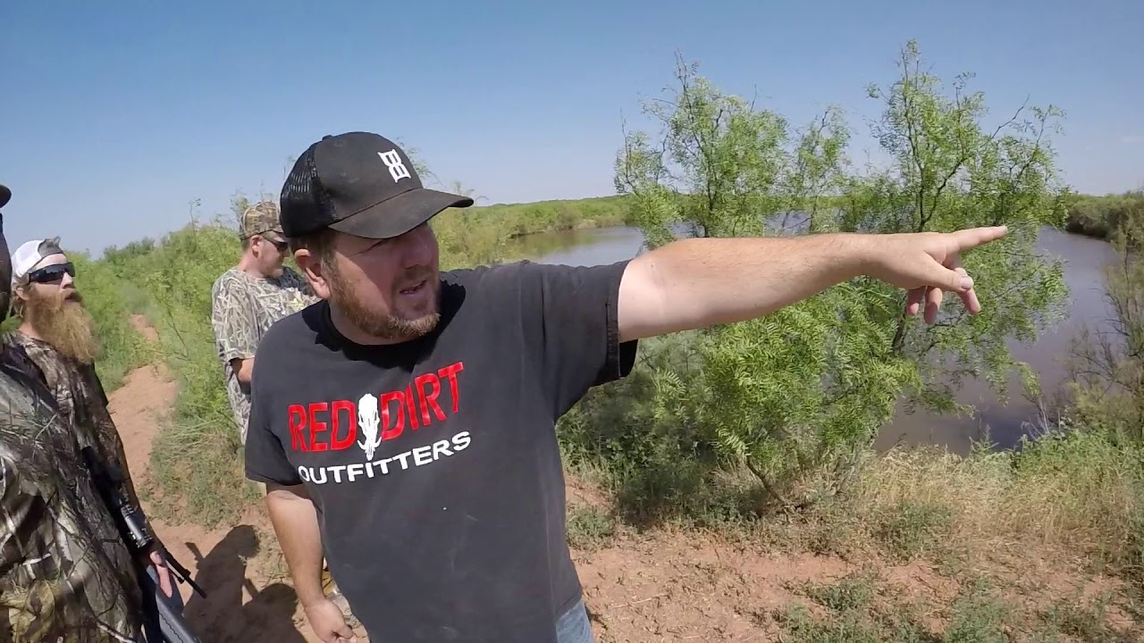 Hog Hunting. Holliday,TX 