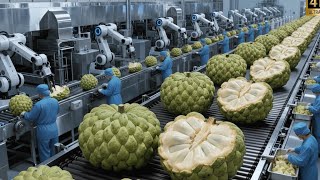 Inside a Modern Custard Apple Factory: From Whole Fruits to Creamy White Purée (Full Process) screenshot 4