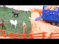 fazendinha com  animais  levando os animais para outra fazendinha nos caminhão