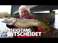 JETZT KNALLT'S: NACH dem HOCHWASSER auf HECHT & ZANDER - Treene mit JÖRG OVENS - Fang mal was (34)