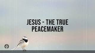 Jesus - The True Peacemaker | Audio Reading | Our Daily Bread Devotional | April 23, 2024