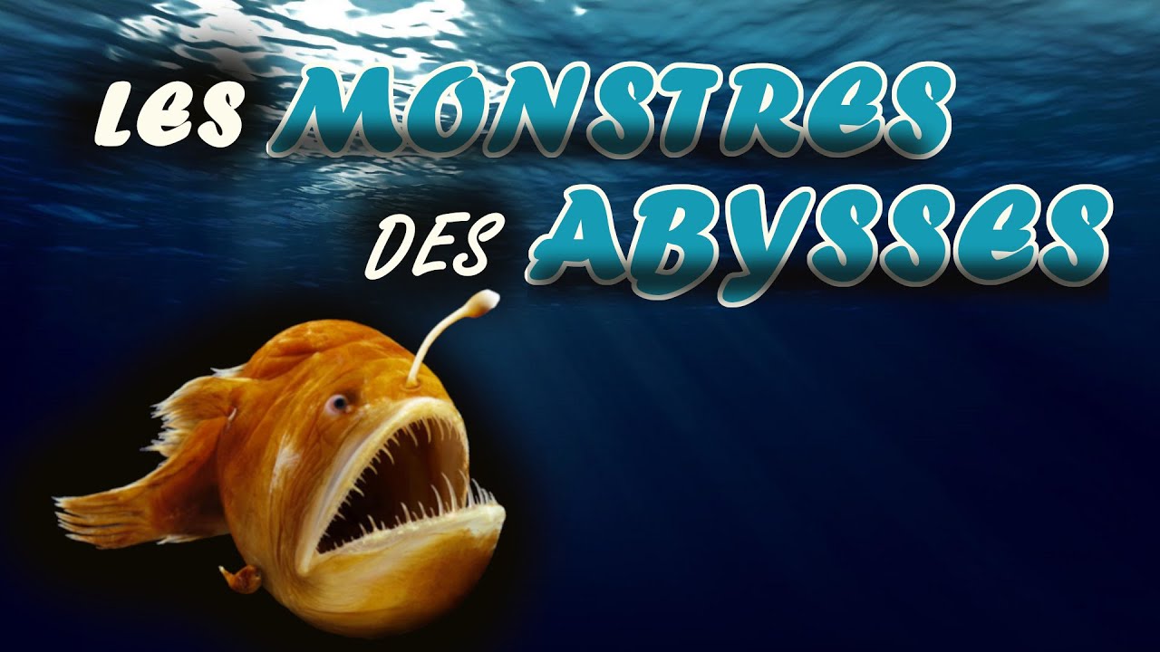 MONSTRES DES ABYSSES - Le LOPHIIFORME - YouTube