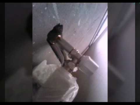 طريقة وكيفية عمل المشعاع الحراري رادياتور