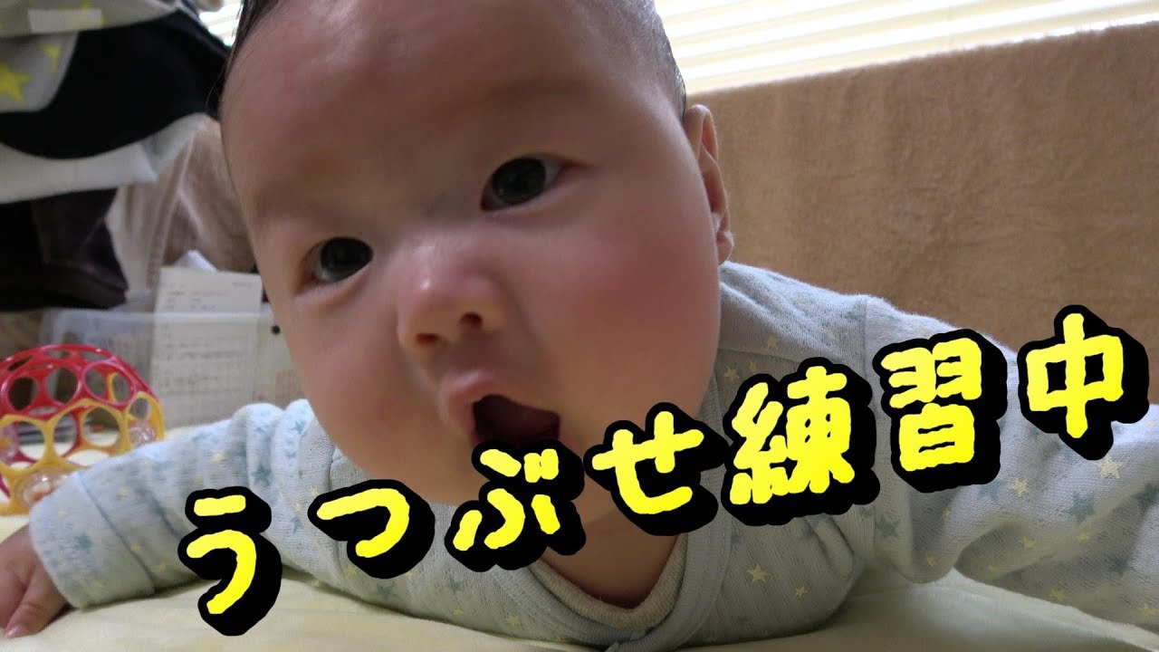 首すわり前の生後3か月の赤ちゃん うつ伏せ練習中 The Baby Is Practicing Lying On His Belly Youtube